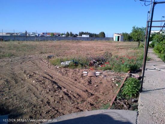 TERRENO DE MAS DE 5000 MTROS EN CTRA DE ROMICA - ALBACETE