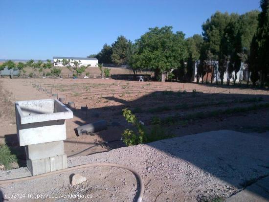 TERRENO DE MAS DE 5000 MTROS EN CTRA DE ROMICA - ALBACETE