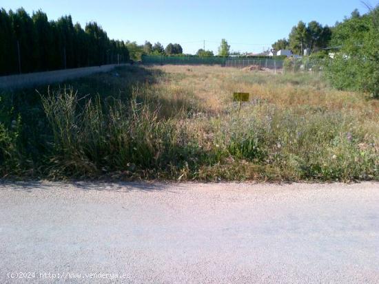  PARCELA RUSTICA EN URBANICACION CASAS VIEJAS - ALBACETE 