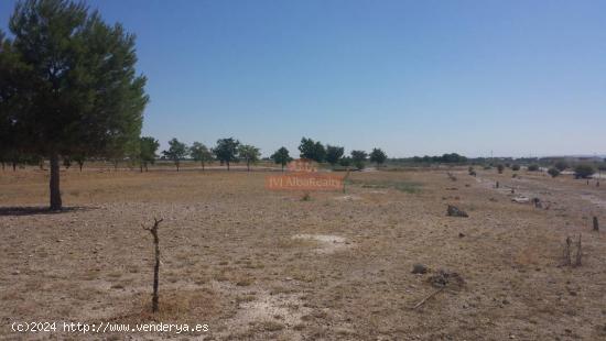  TERRENO RUSTICO EN ZONA LAS PERDICES, CARRETERA JAEN - ALBACETE 