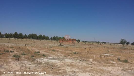 TERRENO RUSTICO EN ZONA LAS PERDICES, CARRETERA JAEN - ALBACETE