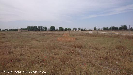  SE VENDE PARCELA DE 2600 M2 A 2 KM DE ALBACETE  AL LADO DE CHALET DE LUJO - ALBACETE 