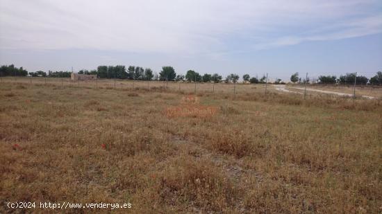 SE VENDE PARCELA DE 2600 M2 A 2 KM DE ALBACETE  AL LADO DE CHALET DE LUJO - ALBACETE