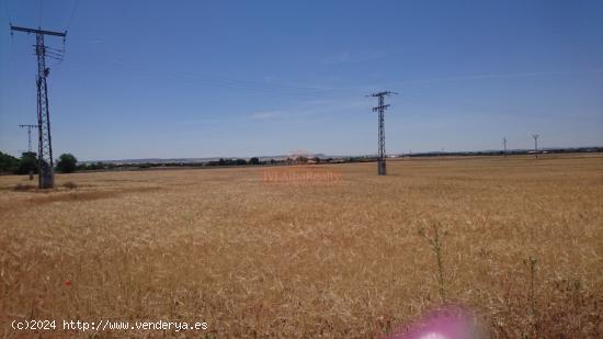 SE VENDE  FINCA RUSTICA DE 44.000 M2  A 5 MINUTOS DE ALBACETE. - ALBACETE