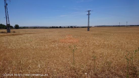 SE VENDE  FINCA RUSTICA DE 44.000 M2  A 5 MINUTOS DE ALBACETE. - ALBACETE