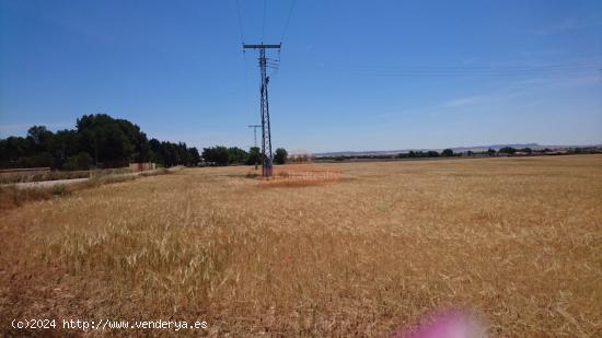 SE VENDE  FINCA RUSTICA DE 44.000 M2  A 5 MINUTOS DE ALBACETE. - ALBACETE