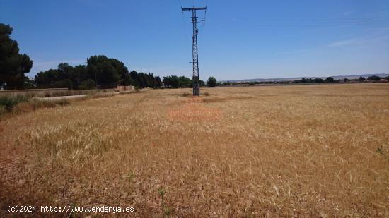 SE VENDE  FINCA RUSTICA DE 44.000 M2  A 5 MINUTOS DE ALBACETE. - ALBACETE