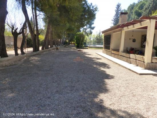  SE VENDE PARCELA CON PISCINA Y PISTA DE PADEL, ZONA VEREDA DE JAEN. - ALBACETE 