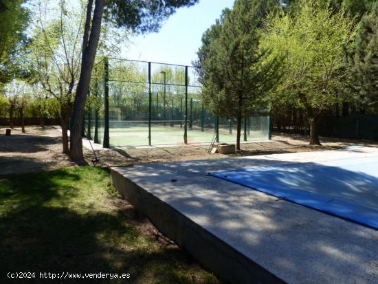 SE VENDE PARCELA CON PISCINA Y PISTA DE PADEL, ZONA VEREDA DE JAEN. - ALBACETE