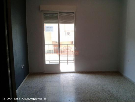 VIVIENDA EN VENTA O ALQUILER CON OPCION A COMPRA EN ZONA FIESTA DEL ARBOL.  AMPLIO PATIO. - ALBACETE