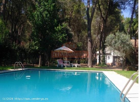 FANTASTICA PARCELA CON CASA Y PISCINA EN PINARES DEL JUCAR - ALBACETE