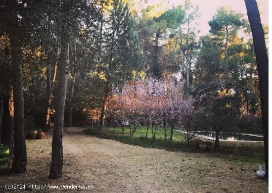 FANTASTICA PARCELA CON CASA Y PISCINA EN PINARES DEL JUCAR - ALBACETE