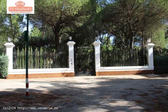 CHALET DE LUJO-URBANIZACIÓN PINARES DEL JUCAR - ALBACETE