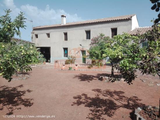 ESPECTACULAR CASA EN VILLAPALACIOS CON 600 METROS DE PARCELA!! - ALBACETE