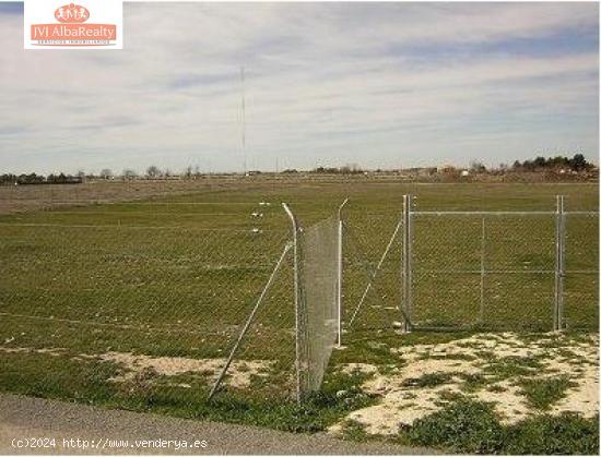 TERRENO REGADIO EN VENTA EN ZONA CAMINO MOLINICOS ( LAS VIÑAS ) - ALBACETE