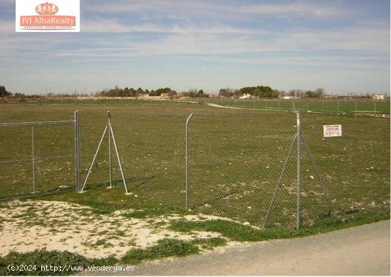 TERRENO REGADIO EN VENTA EN ZONA CAMINO MOLINICOS ( LAS VIÑAS ) - ALBACETE