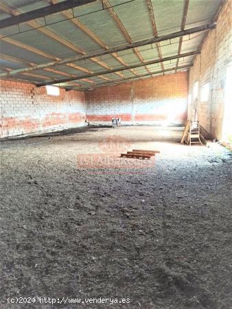 SE VENDE TERRENO RÚSTICO CON NAVE, EN CASAS DE JUAN NÚÑEZ. - ALBACETE