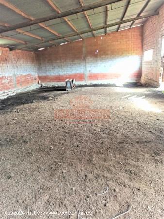 SE VENDE TERRENO RÚSTICO CON NAVE, EN CASAS DE JUAN NÚÑEZ. - ALBACETE