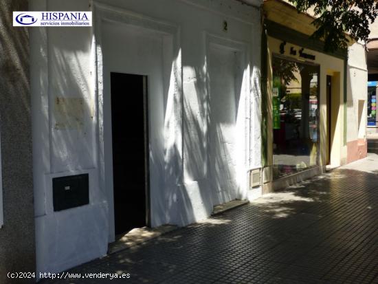 Local comercial situado en la mejor zona comercial de la Avenida principal de Cadiz - CADIZ