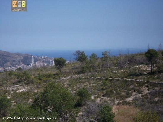  Parcela de 10.000m2 con increibles vistas al mar. Situada en la falda de Ponoig - ALICANTE 