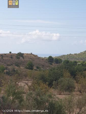 GRAN TERRENO EN FINESTRAT - ALICANTE