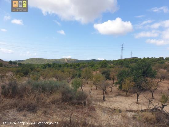 GRAN TERRENO EN FINESTRAT - ALICANTE