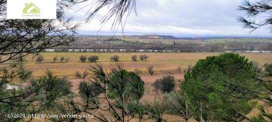 CASA CON FINCA DE 58000,ZONA CRTA ALMARAZ - ZAMORA