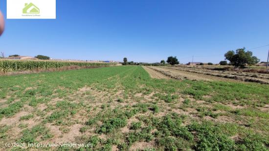 VENTA FINCA CRTA VILLARALBO - ZAMORA