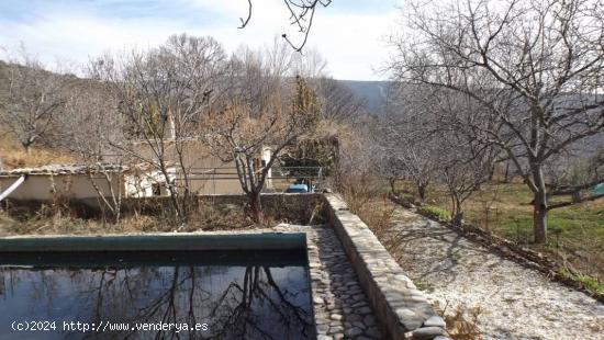 FINCA CON CORTIJO EN ZONA PATERNA DEL RIO - ALMERIA