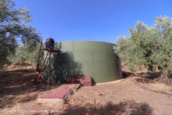  SE VENDE FINCA DE REGADIO EN PRODUCION CON CORTIJO EN ABRUCENA - ALMERIA 