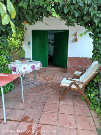 SE VENDE CASA CON PARCELA EN LA VEGA DE ABRUCENA - ALMERIA