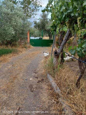 SE VENDE CASA CON PARCELA EN LA VEGA DE ABRUCENA - ALMERIA