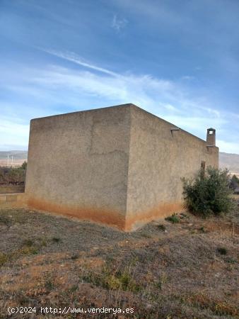 SE  VENDE FINCA RUSTICA CON OLIVOS EN ABRUCENA - ALMERIA