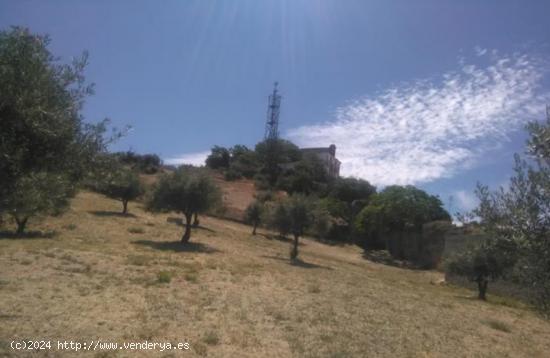 Solar residencial urbano consolidado en la zona de Cármenes de San Miguel (Granada) - GRANADA