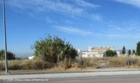 Terreno para Vivienda Unifamiliar Extensiva en Cortijo del Aire (Albolote) - GRANADA