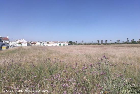 Solar en la zona noroeste de Linares, para unifamiliar, plurifamiliar y comercial. - JAEN