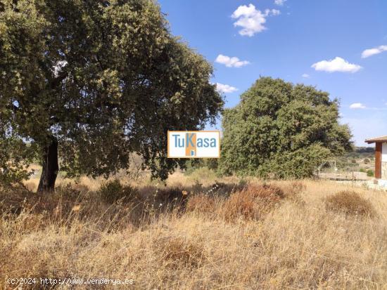 Se Vende en Arroyo de la Luz - CACERES