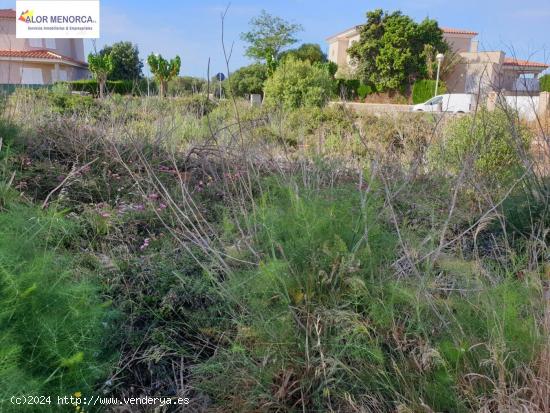 Se vende terreno para Unifamiliar - BALEARES