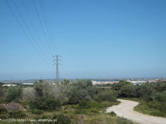  FINCA RÚSTICA CON VISTAS AL DELTA DEL EBRO - TARRAGONA 