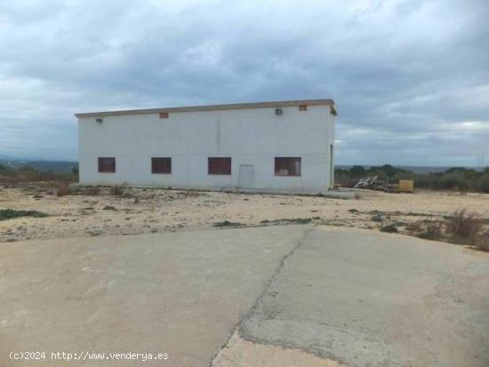 NAVE EN TERRENO RURAL CON EXCELENTES VISTAS - TARRAGONA