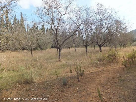 TERRENO RURAL FRENTE A URBANIZACIÓN - TARRAGONA