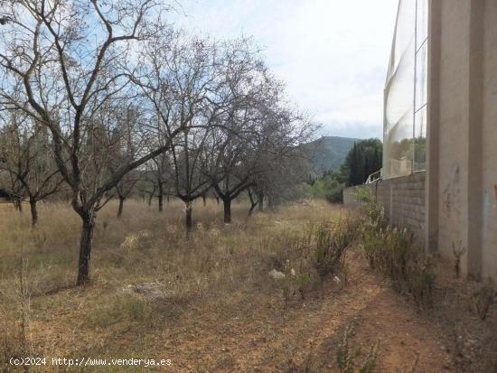 TERRENO RURAL FRENTE A URBANIZACIÓN - TARRAGONA