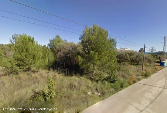 PARCELA URBANA EN ALCANAR - TARRAGONA