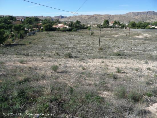 OPORTUNIDAD SOLAR URBANO IDONEO PARA CONSTRUCCION DE CHALETS MUY PROXIMO A ALICANTE - ALICANTE