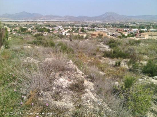  Fantástica parcela urbana en La Huerta - MUTXAMEL con magnificas vistas. - ALICANTE 