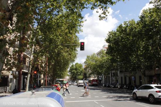 Local en Rentabilidad con inquilino garantizado. - SEVILLA