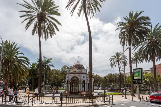 Se Vende en Las Palmas de Gran Canaria - LAS PALMAS