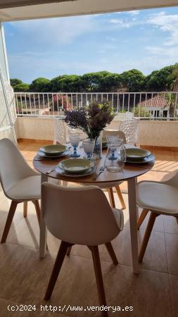 APARTMENT IN LA MATA - TORREVIEJA - TOLEDO