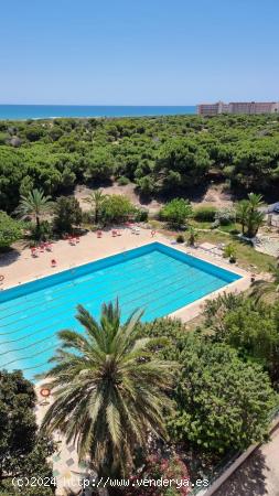 APARTMENT IN LA MATA - TORREVIEJA - TOLEDO