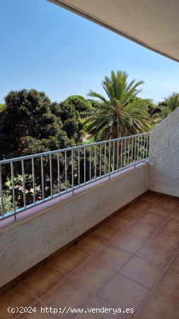 APARTMENT IN LA MATA - TORREVIEJA - TOLEDO